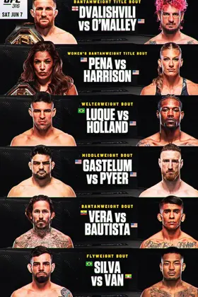 UFC 316: Dvalishvili vs. O'Malley 2's poster