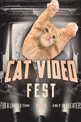 CatVideoFest 2025's poster