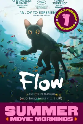 Flow's poster